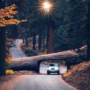 Meet your Posher, Caitlyn